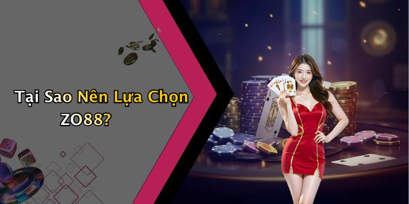 Tại Sao Nên Lựa Chọn ZO88?